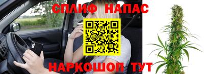 гашик Пугачёв