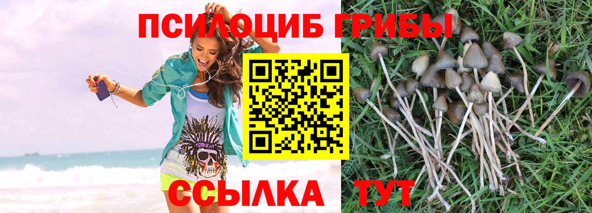 Новокубанск  продажа наркотиков  Вход с VPN  Галлюциногенные грибы MAGIC MUSHROOMS 